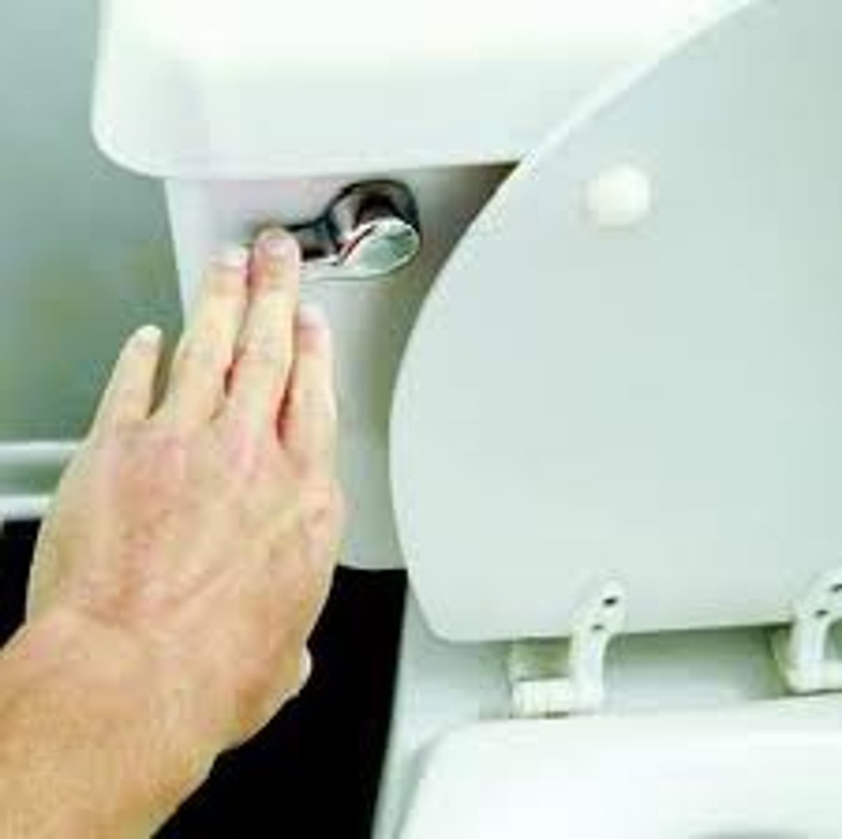 <p>get rid of something by putting it in the toilet and operating the toilet</p>