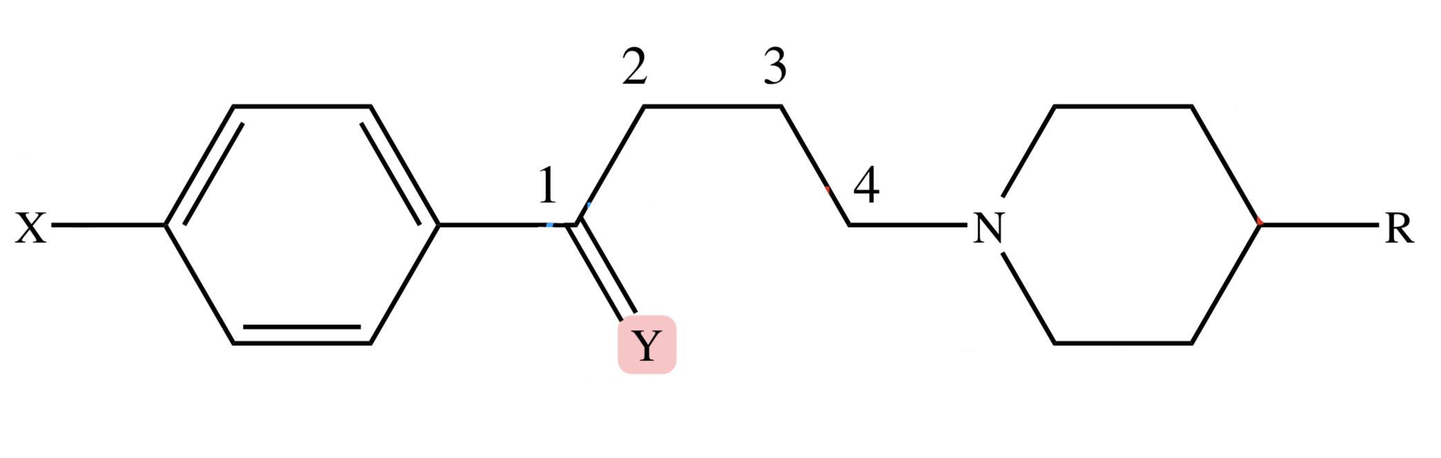 <p>BUTYROPHENONES: <u>Y (Carbonyl) position</u> replaced with: <strong>thioketone, olefinic, phenoxy or reduction </strong></p>