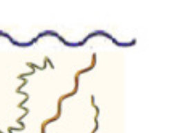 <p>flexible spirals </p>