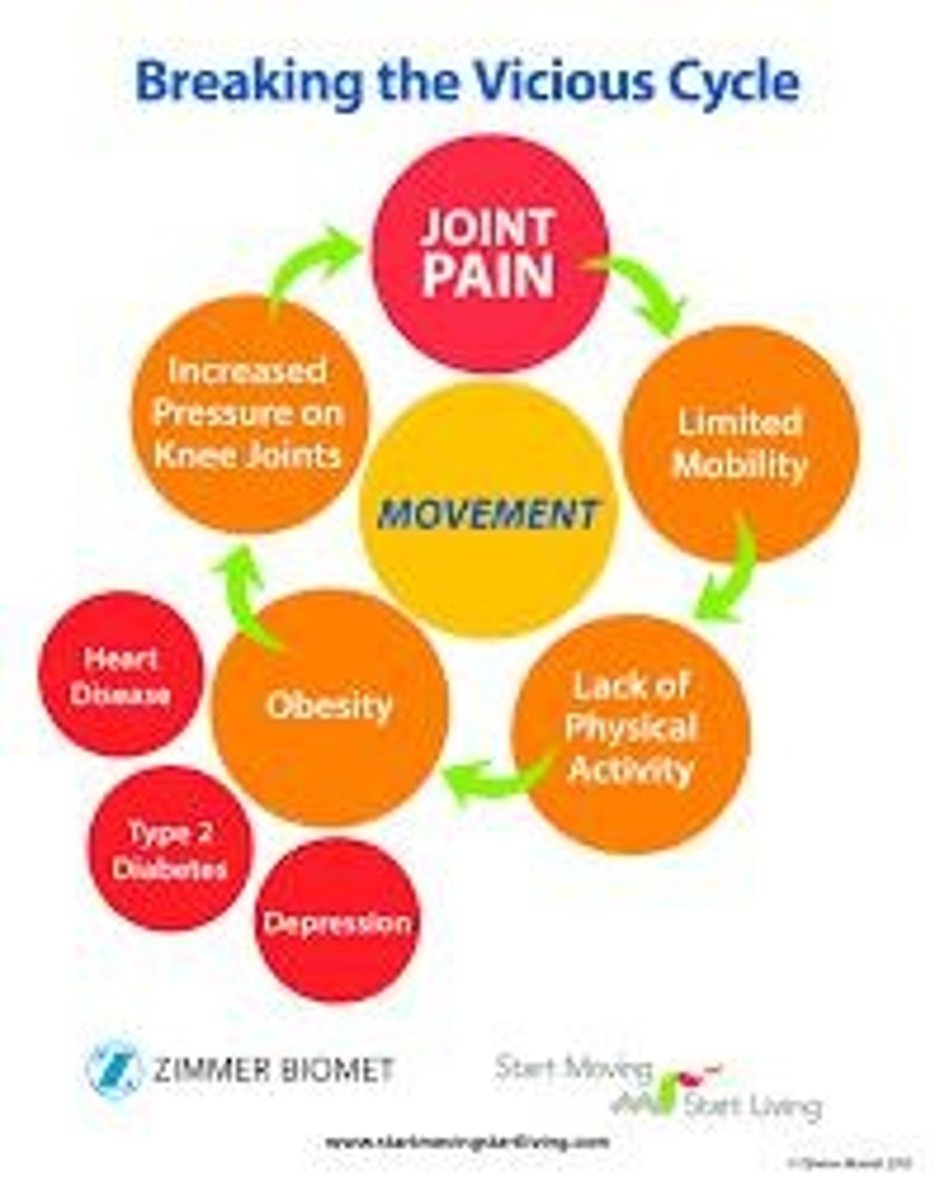 <p>Obesity can cause pain through a proinflammatory state, mechanical stress, and metabolic syndrome.</p>