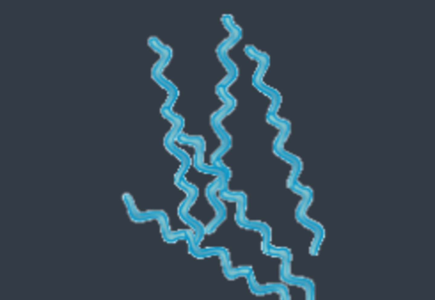 <p>spirilla (spiral)</p>