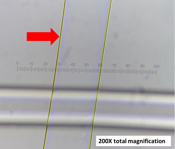 <p><span>The following specimen was observed at 200x total magnification. A reticle is shown. At 100x total magnification, one subdivision of the reticle represents 10 microns</span></p><p></p><p><strong>The diameter of the glass rod is:&nbsp;</strong></p>