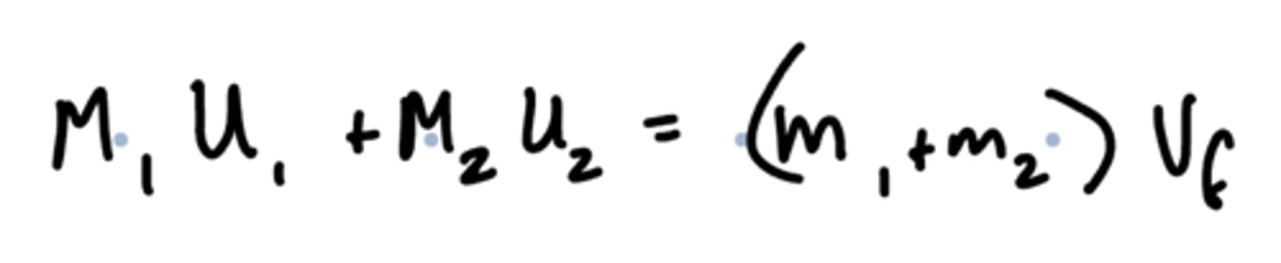 <p>mass1 (initial) + mass2 (initial) = (mass 1 +mass 2)Velocity (final [given or explicitly stated])</p>