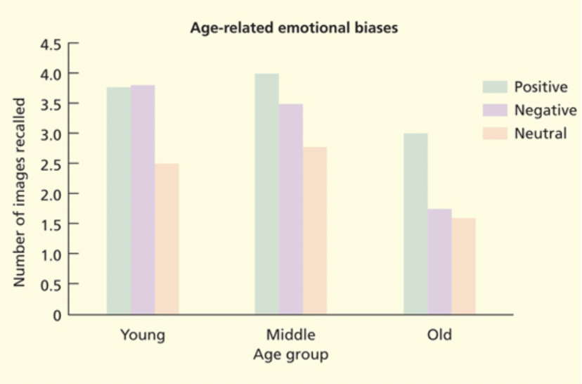 <p>Two philosophies</p><p>Mead (1964) believed the past was a way to escape, reconstruct positive experiences.</p><p>Bierce (1914) believed the past is negative, the future is positive.</p><p><span style="background-color: transparent;"><strong><span>Charles et al. (2003)</span></strong></span></p><p>Past autobiographical memories are somewhat stable.</p><p>People generally don’t have a problem retrieving happy and sad memories in a short time frame.</p><p><strong>Positivity bias: </strong>the tendency to recall more pleasant memories than neutral or unpleasant ones.</p><p>More present in older adults</p><ul><li><p>Younger remember positive and negative equally well</p></li><li><p>Middle starting to see that positivity bias</p></li><li><p>Strongest for older adults</p></li><li><p>But there was no difference in pos/neg with recognition</p></li></ul><p>Emotion regulation improves as you age, focus shifts to be more on well-being and less on goals concerning knowledge/the future.</p><p></p>