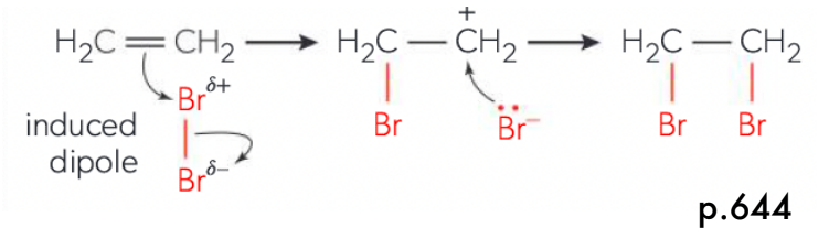 <ol><li><p>Molecule being added (e.g. halogen) NEEDS to be polarized(slightly (+), slightly (-)). Allows electrons in molecule to be repel electron-rich double bond as molecule approaches it</p></li><li><p>Double bonded carbons is attached by atom with partial positive charge, and the molecule splits <strong><u>HETEROLYTICALLY</u></strong> (creates a negative atom). </p></li><li><p>Positive atom is attached and adjacent carbons become + charged (carbocation intermediate)</p></li><li><p>Unstable carbocation and anion form a bond creating a stable product  </p></li></ol><p></p>