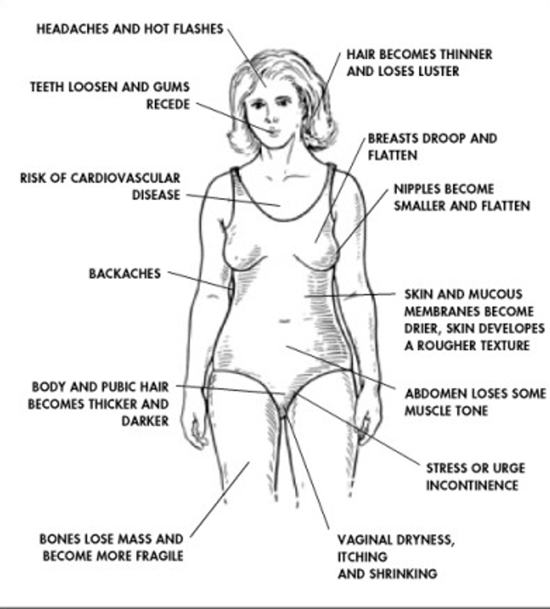 <p>Drug prescribed to provide chemicals that are otherwise missing for a patient (hormone replacement therapy.)</p>