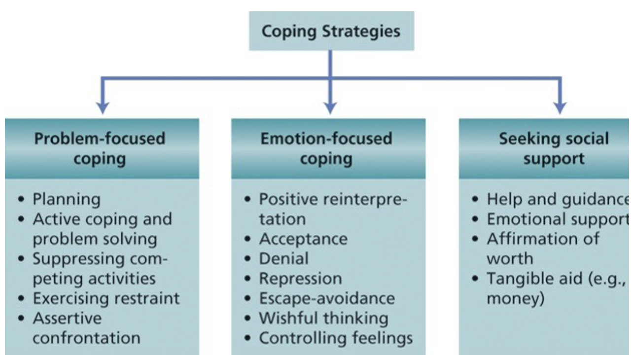 <ul><li><p>responses to stress may vary</p></li><li><p>early life stress can increase or decrease resilience to later stress</p></li><li><p>genes</p></li><li><p>social support</p></li><li><p>physical health </p></li><li><p>previous stressful experiences </p></li></ul>