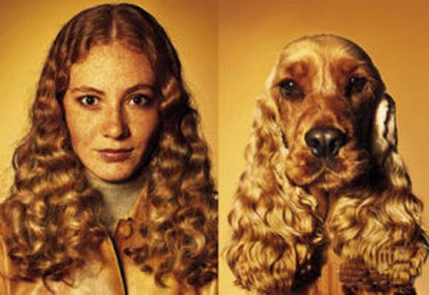 <p>to have in common (with)</p>