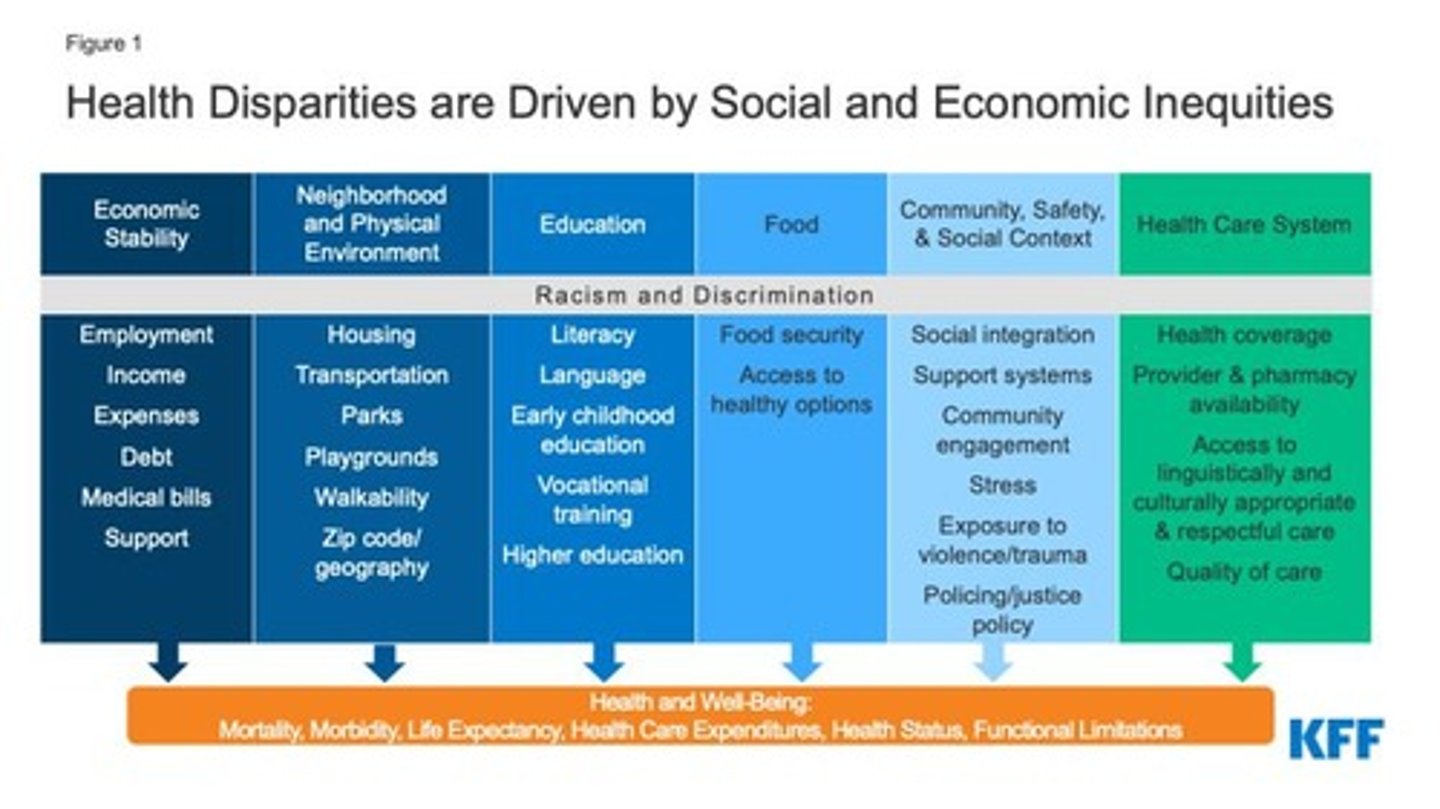 <p>preventable differences in the burden of disease, injury, violence, or opportunities to achieve optimal health that are experienced by socially disadvantaged populations</p>