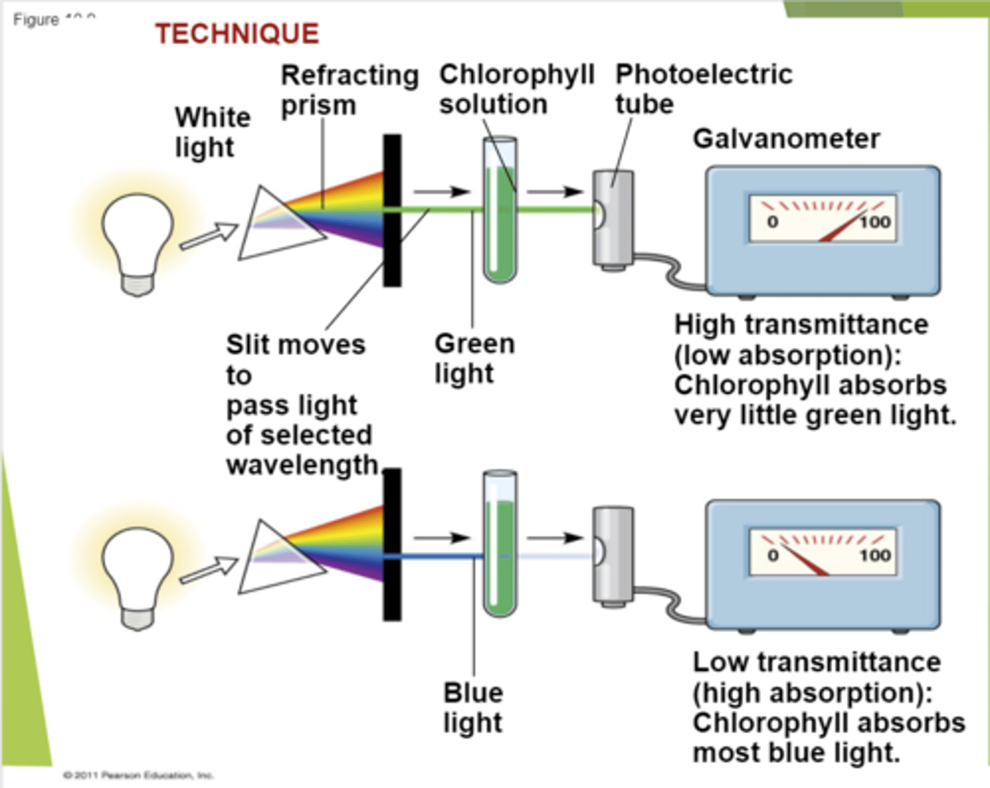 <p>What does this image describe?</p>