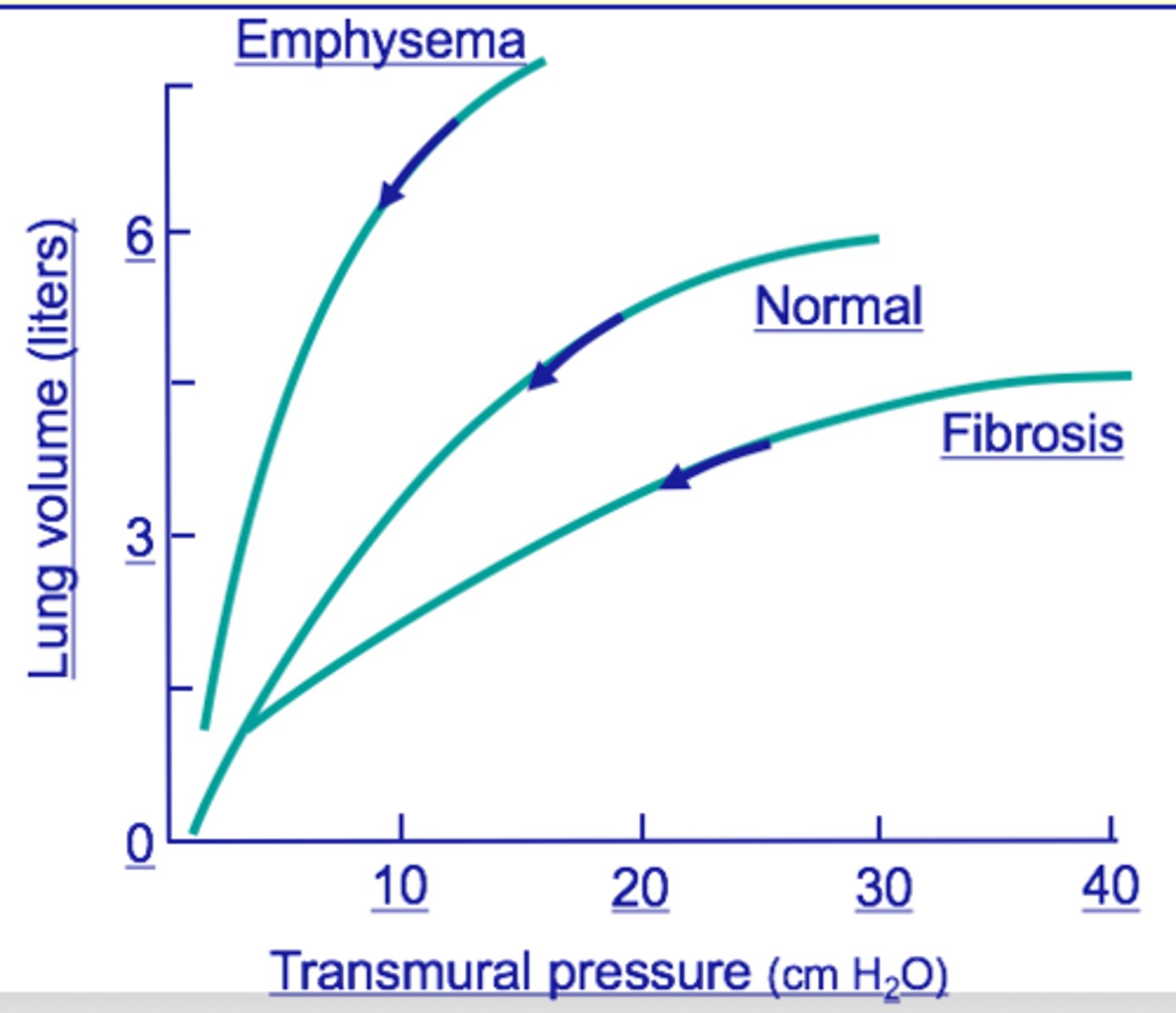 <p>measure of change in lung volume that occurs with given change in trans pulmonary pressure</p>