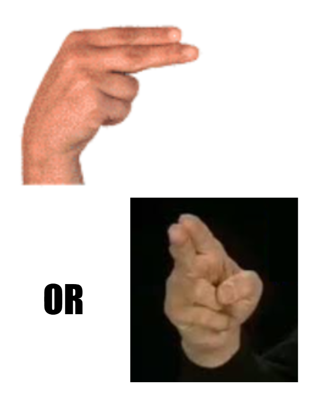 term image