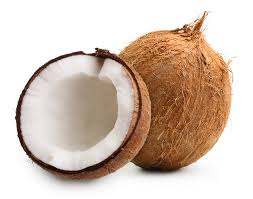 <p>the coconut</p>