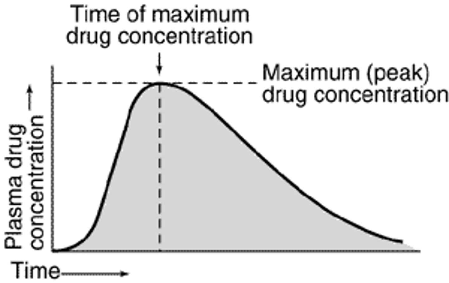 <p>the length of time between dosing and availability in the bloodstream.</p>