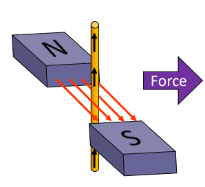 <p>What is the motor effect?</p>