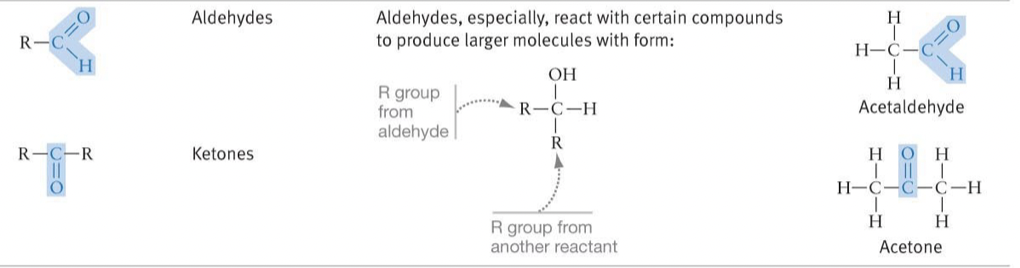 <p>Aldehydes and Ketones</p><ul><li><p>React with certain compounds to produce larger molecules with the form:</p></li></ul>