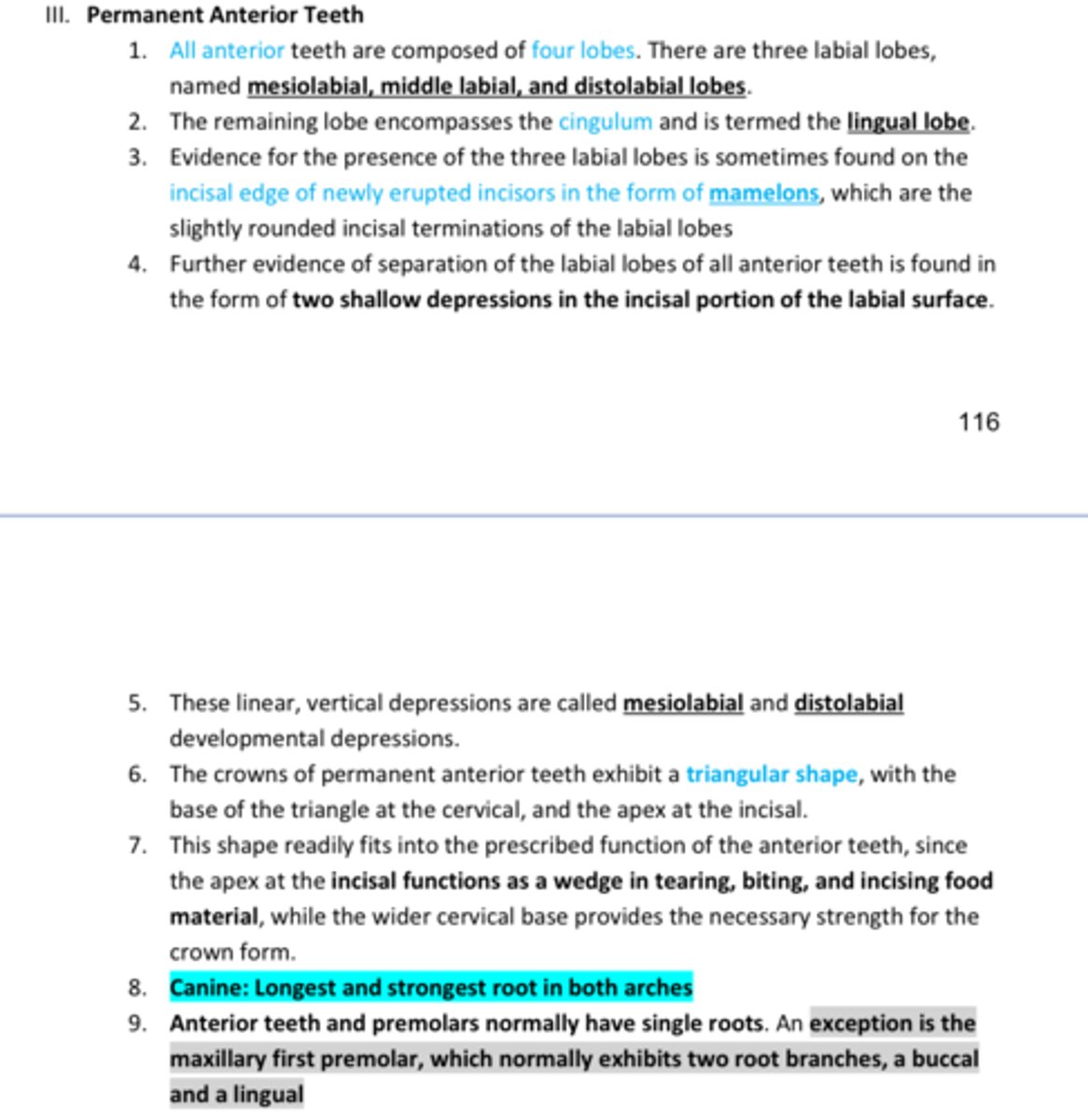 <p>REVIEW DENTAL ANATOMY BASICS:</p><p>- Slides 116-120</p>