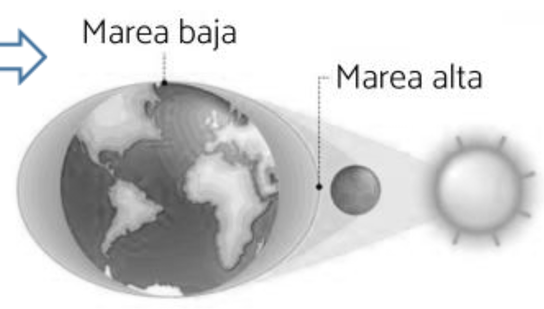 <p>La rotación hace que esta atracción vaya cambiando de lugar en la Tierra. Mientras la litósfera es demasiado rígida para verse afectada esta atracción, las aguas oceánicas suben de nivel y bajan de manera rítmica y periódica, todos los días, fenómeno que conocemos como mareas.</p>