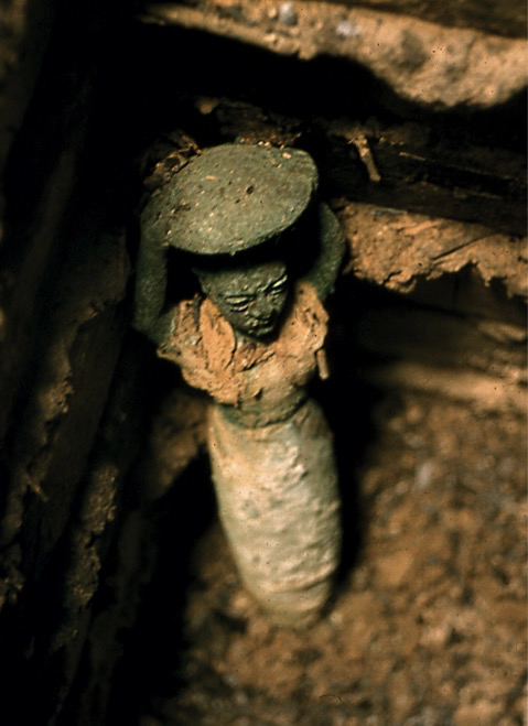 term image