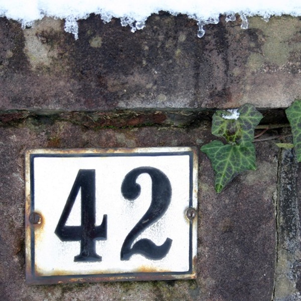 <p>42 (forty-two)</p>