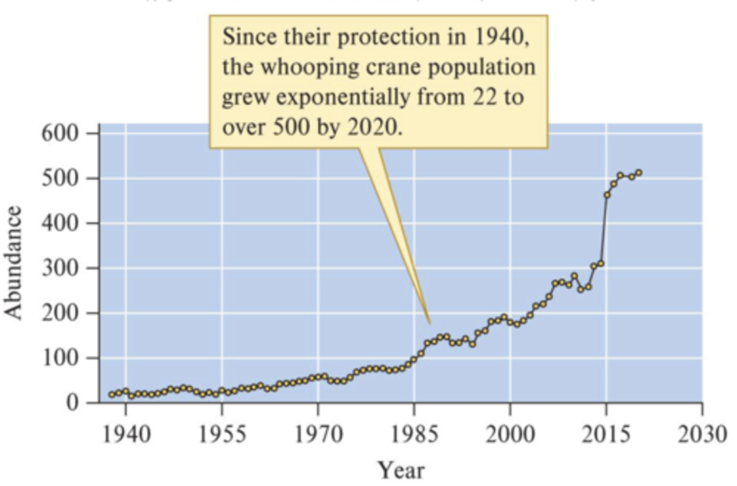 <p>Begin growth in favourable environments at low densities:</p><p>- Planktonic diatoms (i.e. algal blooms), whooping cranes</p><p>- Whooping cranes reduced to 22 in 1940</p><p>- Grew exponentially to 220 in 2005</p>
