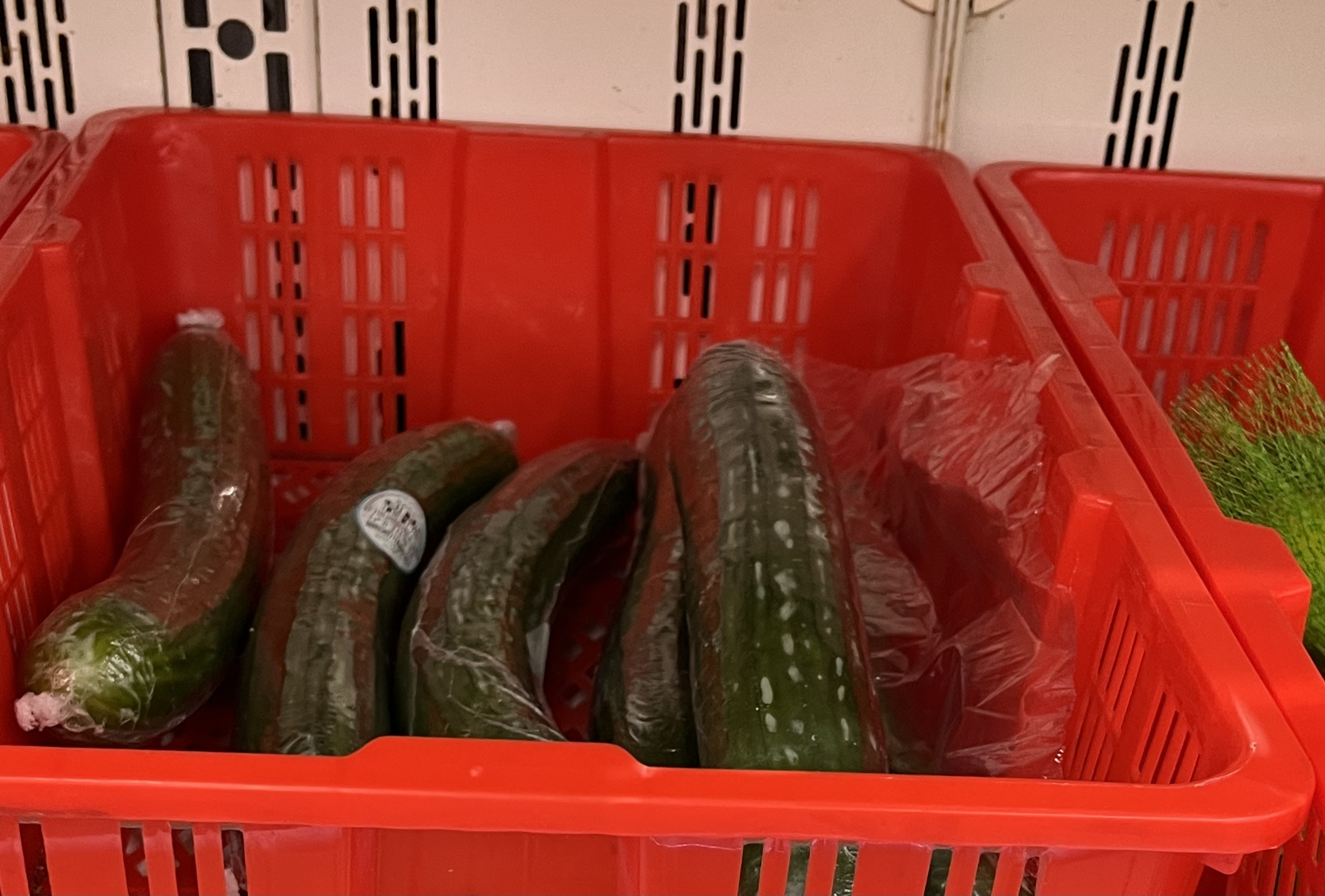 <p>WRAPPED SEEDLESS CUCUMBER</p>