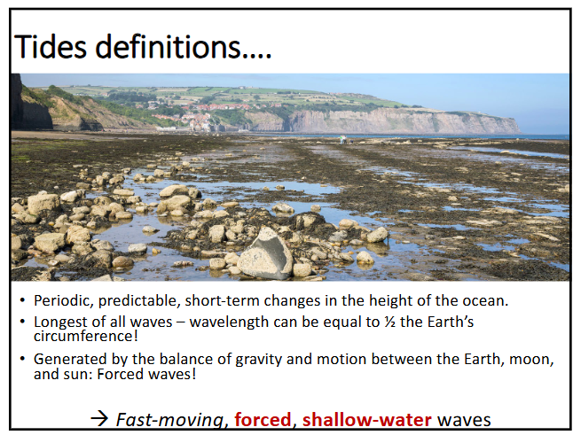 <p>-periodic, predictable short-term changes in the height of the ocean</p><p>-longest of all waves → wavelength can be equal to ½ the Earth’s circumference</p><p>-generated by the balance of gravity and motion between the Earth, moon and sun: forced waves (caused by planetary orbits)</p><p>-forced, fast-moving, shallow water waves</p>