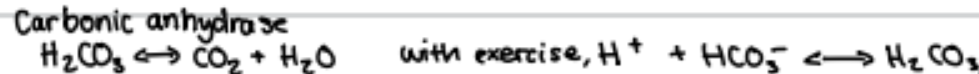 H2CO3 function to recover pH froma acidosis