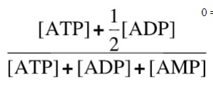 <p>Many metabolic reactions are controlled by the energy status of the cell (energy charge)</p><p>Most cells have values between 0.80 and 0.95 for energy charge</p>