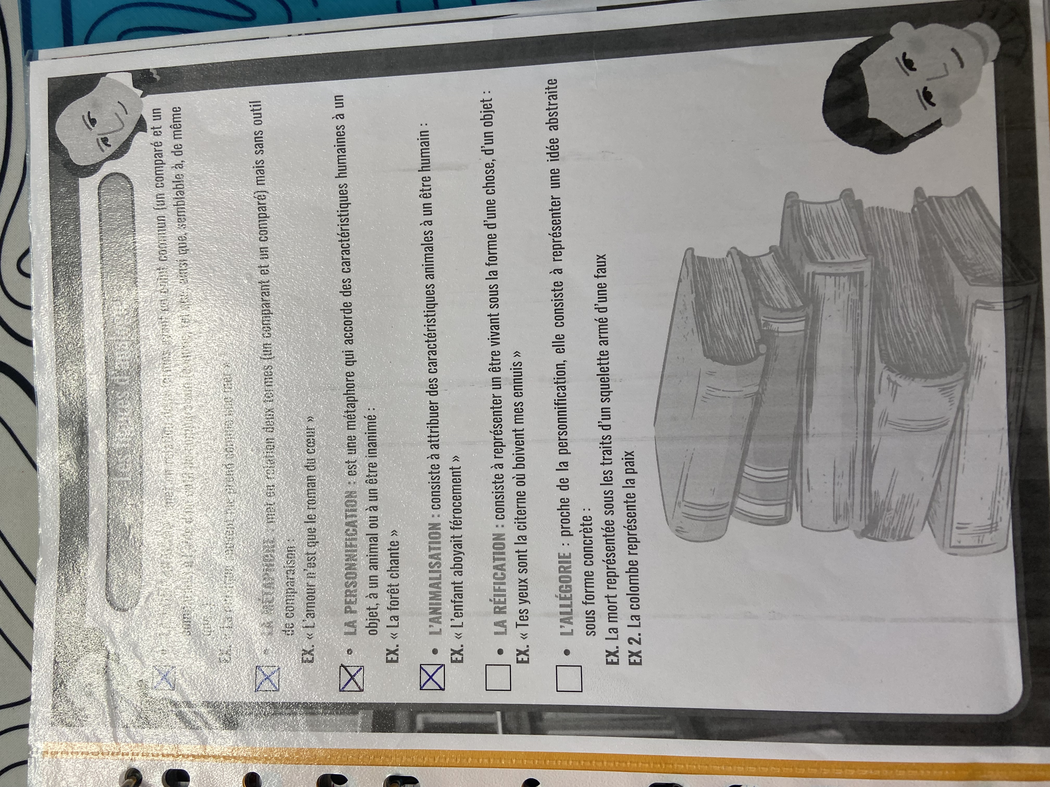 knowt flashcard image