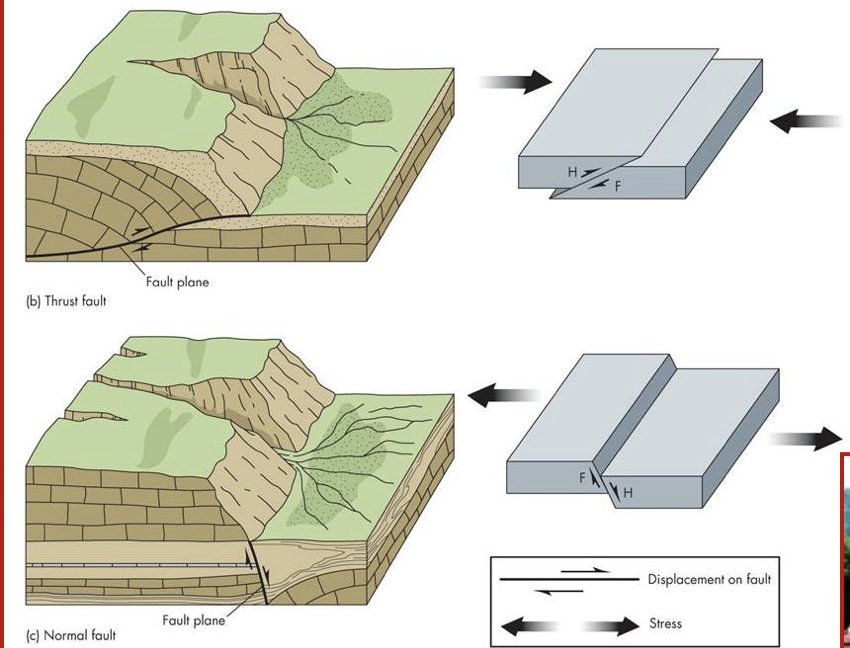 Displacements are $$vertical$$ 

\
three types:

* Reverse fault
* Thrust fault 
* Normal fault 

\
Comprised of two walls on an incline defined by minors:

\

1. Footwall (where minors placed their feet)
2. Hanging wall (where minors placed their lanterns)