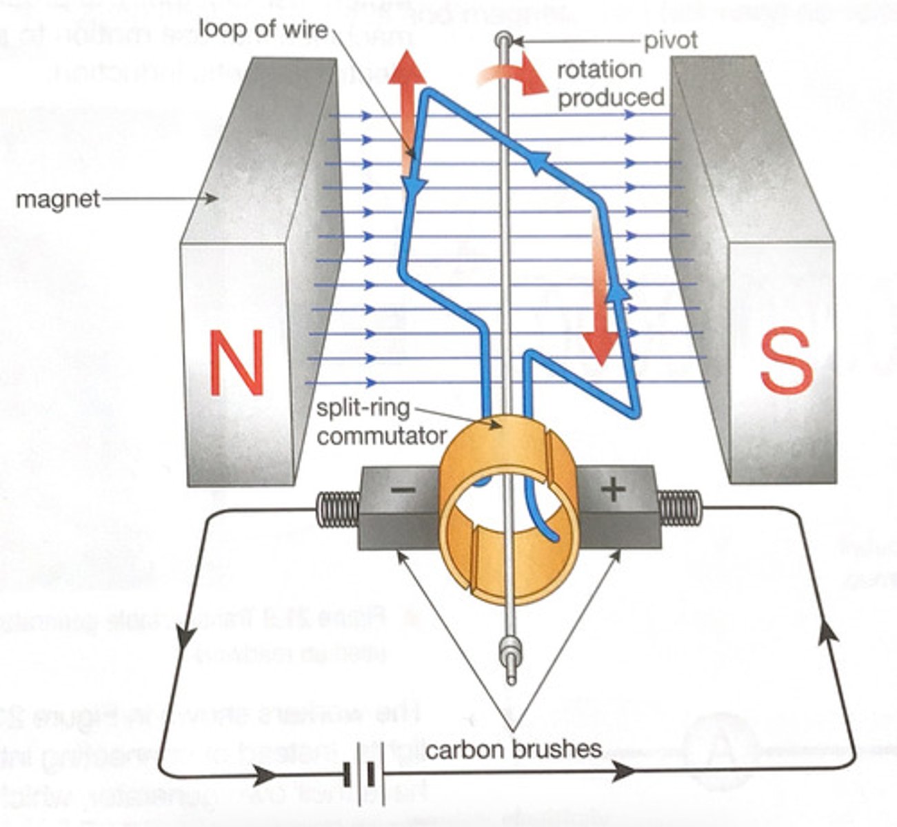 <p>1. When there is a current in the wire one of the sides will experience a force pushing it upwards , the other side will experience a force pushing it downwards and the loop will begin to rotate<br> 2. When the loop reaches a vertical position momentum pushes it past the vertical and so to keep it rotating the forces on the wires must reverse so the wire at the top is pushed down and the wire at the bottom is pushed up <br> 3. This is done by using a split ring commutator to connect the loop of wire to the electrical supply , so that each time the loop of wire passes a vertical position the connections change and the direction of current changes <br>Now the loop will rotate continuously</p>
