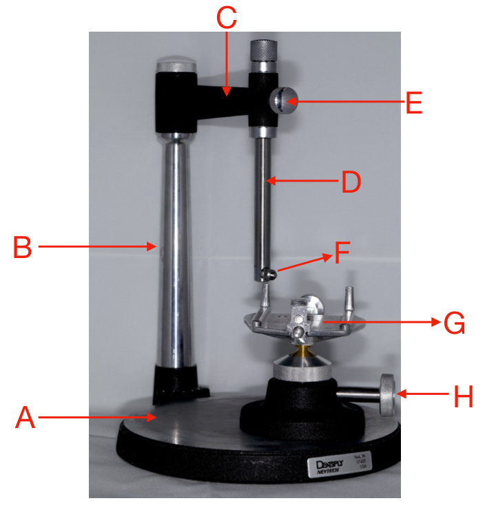 <p>what is labeled G?</p>