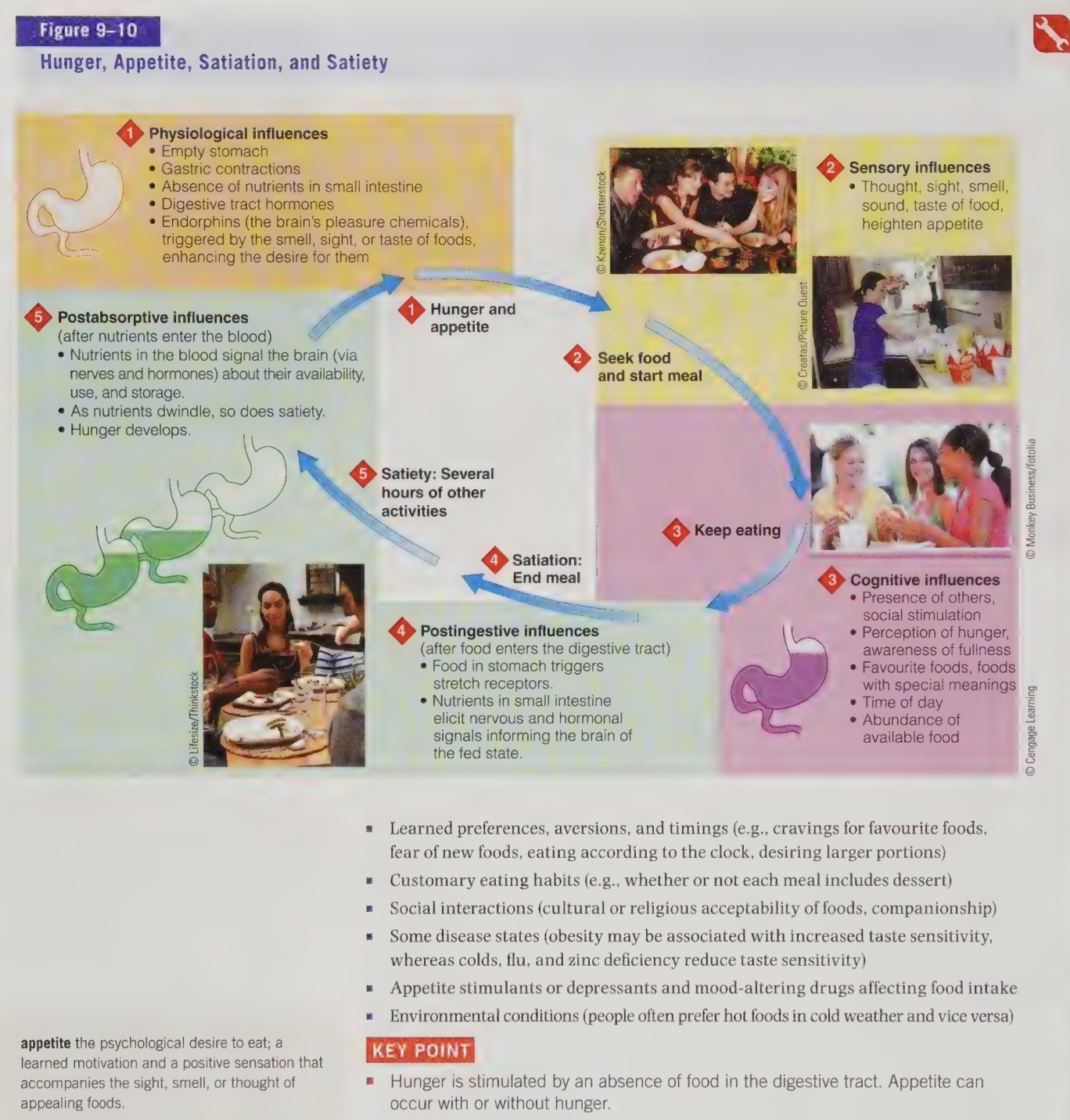 knowt flashcard image