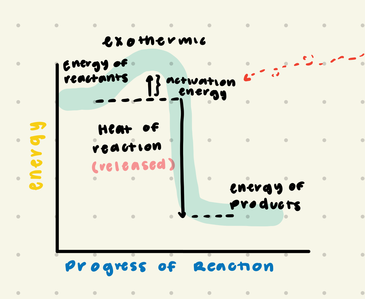 exothermic reaction