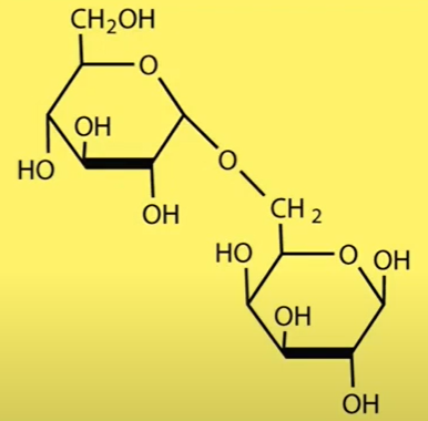DISACCHARIDE