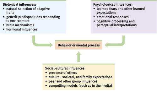 <p><span>Biopsychosocial Approach </span></p>