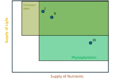 <p>periphyton vs phytoplankton example</p>