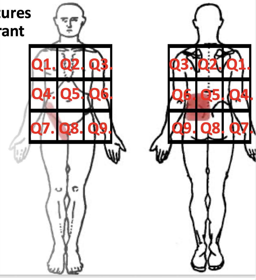 <p>Q1-Q9</p>