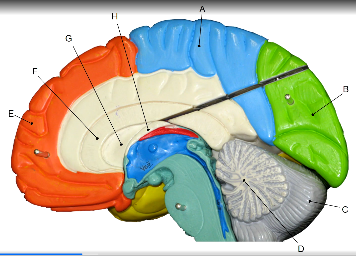 <p>B</p>