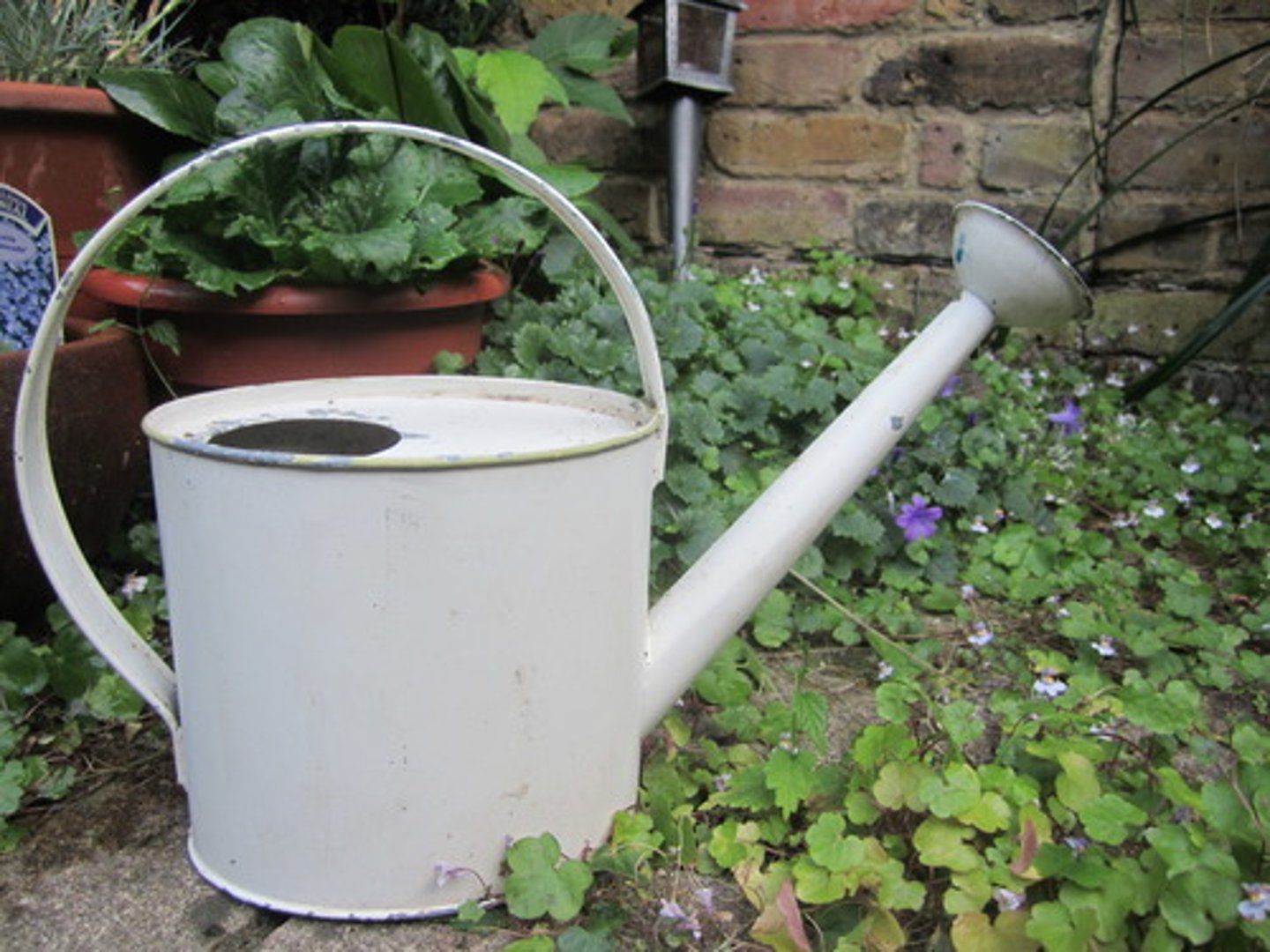 <p>watering can</p>