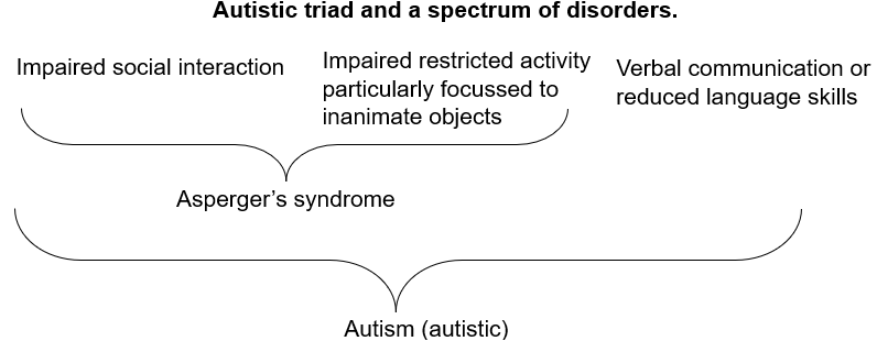<ul><li><p class="Paragraph SCXW22412659 BCX0" style="text-align: left;"><span style="line-height: 20.85px;"><span>Leo Kanner describes a cohort of children (early developmental effect) with stunted communication and social interaction&nbsp;</span></span></p></li></ul><ul><li><p class="Paragraph SCXW22412659 BCX0" style="text-align: left;"><span style="line-height: 20.85px;"><span>Motor behaviour disrupted and locked into repetitive behaviours&nbsp;&nbsp;</span></span></p></li></ul><ul><li><p class="Paragraph SCXW22412659 BCX0" style="text-align: left;"><span style="line-height: 20.85px;"><span>Aspergers – diluted version of Autism where the traits are less disrupted but less emphasis on&nbsp; language dysfunction&nbsp;</span></span></p></li></ul><ul><li><p class="Paragraph SCXW22412659 BCX0" style="text-align: left;"><span style="line-height: 20.85px;"><span>3 things that seem to define autism:</span></span></p></li></ul><p class="Paragraph SCXW22412659 BCX0" style="text-align: left;"></p><ol><li><p class="Paragraph SCXW22412659 BCX0" style="text-align: left;"><span style="line-height: 20.85px;"><span>Impaired social interactions relevant for a young child&nbsp;&nbsp;</span></span></p></li></ol><ol start="2"><li><p class="Paragraph SCXW22412659 BCX0" style="text-align: left;"><span style="line-height: 20.85px;"><span>Repetitive restricted behaviours&nbsp;&nbsp;</span></span></p></li></ol><ol start="3"><li><p class="Paragraph SCXW22412659 BCX0" style="text-align: left;"><span style="line-height: 20.85px;"><span>Associated reduction in language skills&nbsp;</span></span></p></li></ol><p></p><p></p>