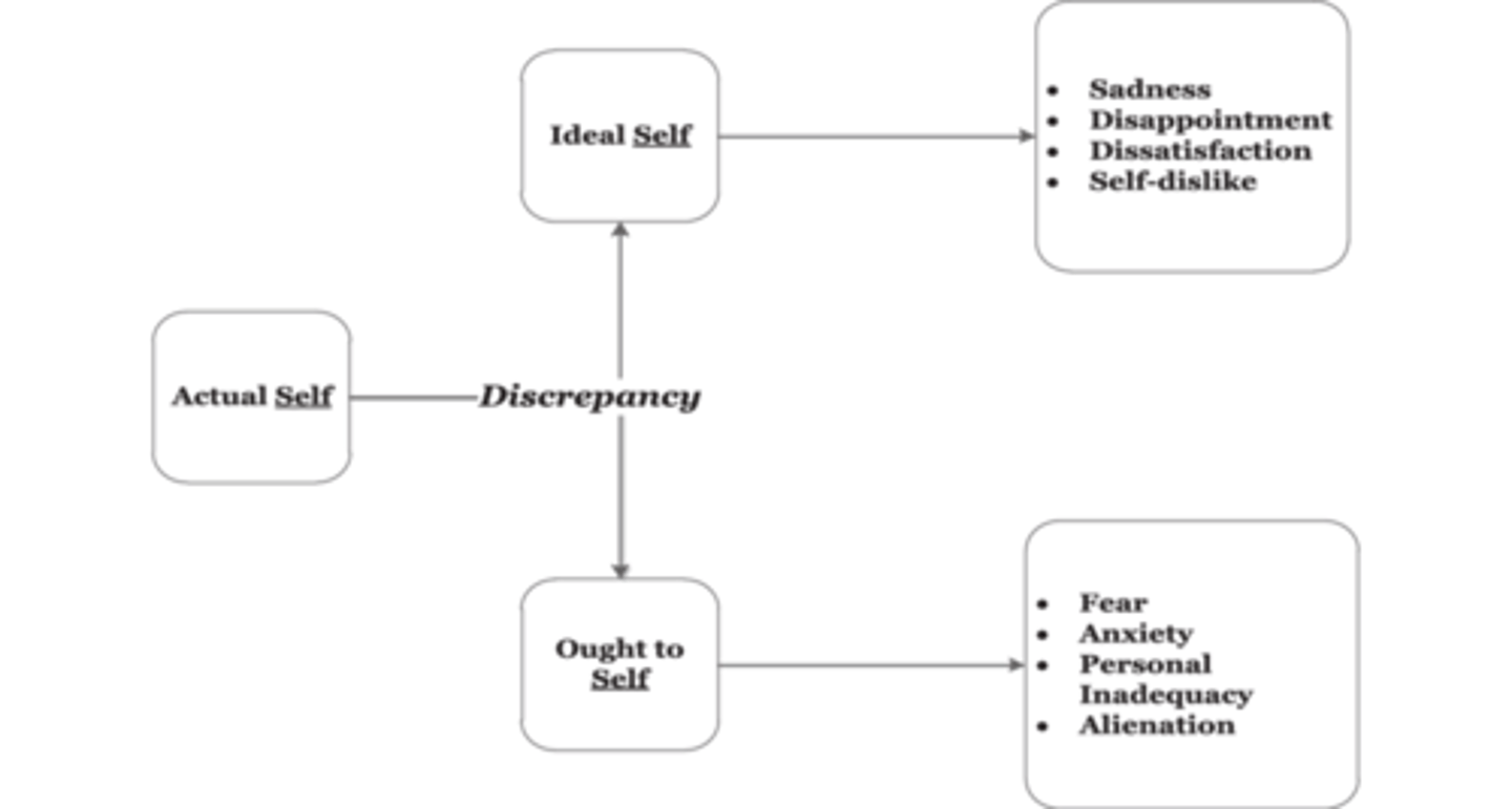 <p>Maintains that we are made up of three selves; our actual self, our ideal self, and our ought self. The closer the three selves are, the higher our self-esteem will be.</p>