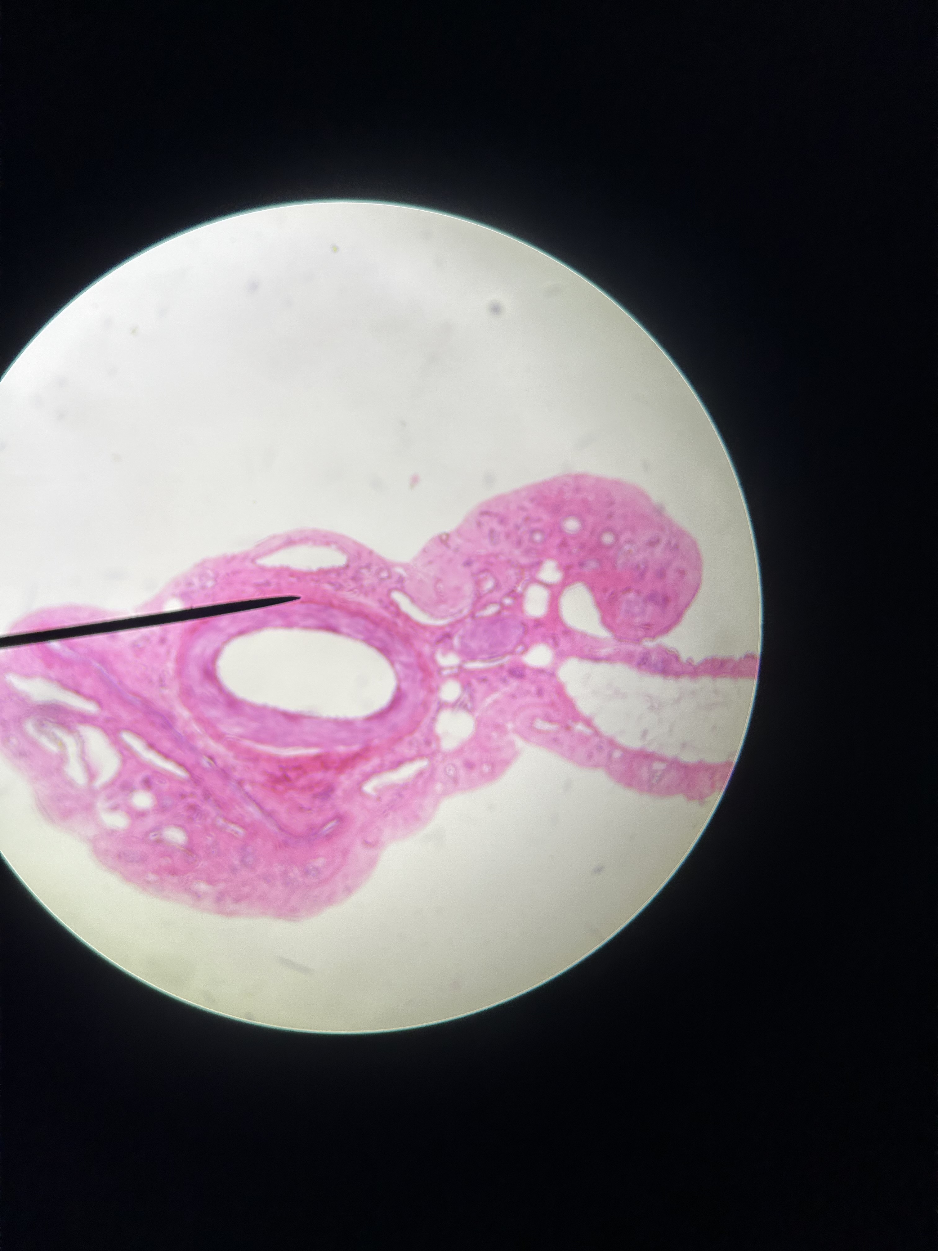 <p>What is this?</p>