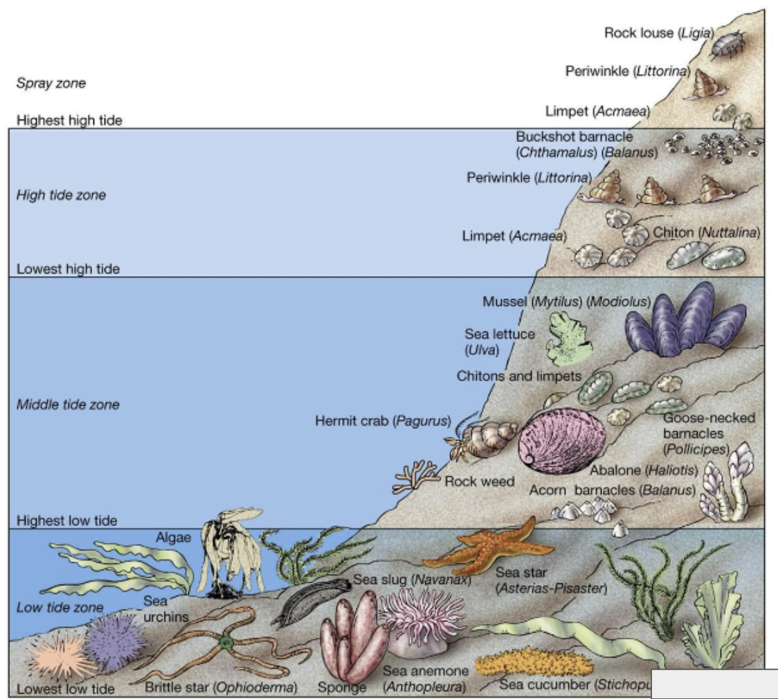 <p><strong>What organism? </strong></p>