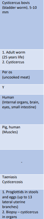 knowt flashcard image