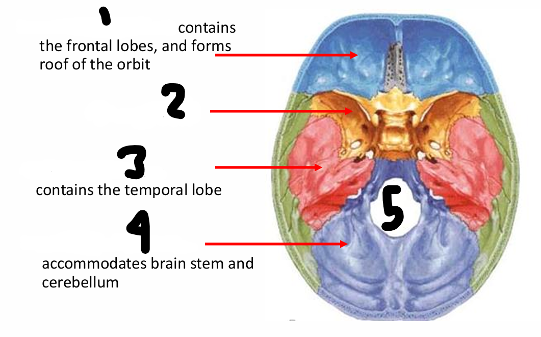 <p>name all </p>
