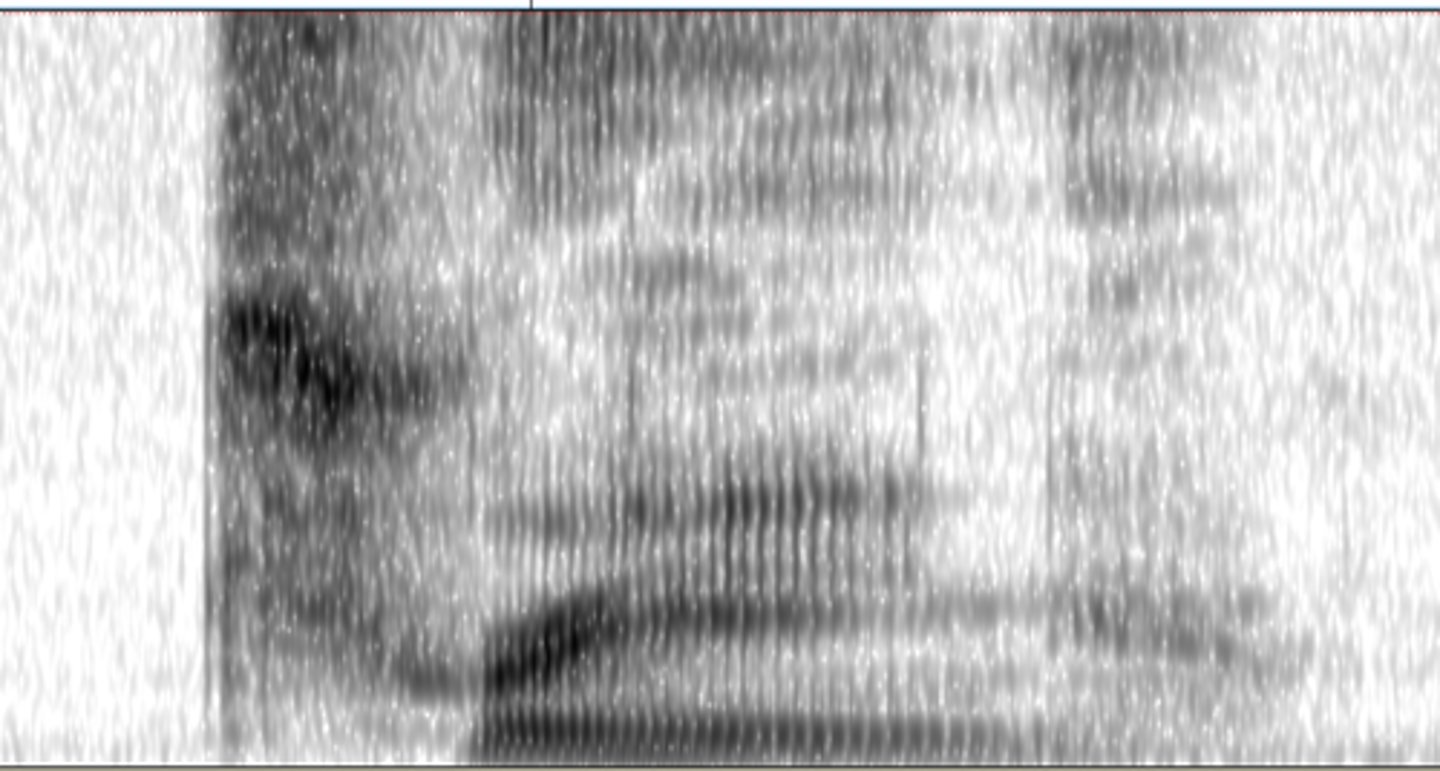 <p>Select the word to matches the spectrogram best.</p>