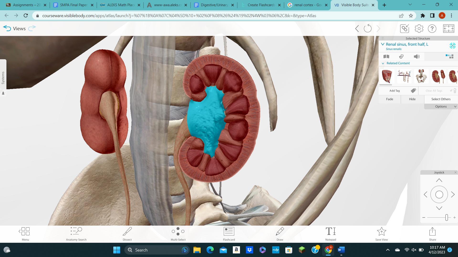 knowt flashcard image