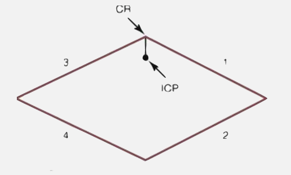 <p>Recorded by Gothic Arch</p><ol><li><p>Left Lateral Border</p></li><li><p>Continued Left Lateral Border</p></li><li><p>Right Lateral Border</p></li><li><p>Continued Right Lateral Border</p></li></ol><p></p>